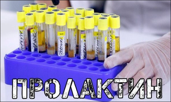 Пролактин - Бодибилдинг форум AnabolicShops