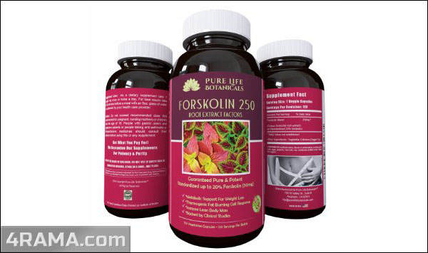 Форсколин - Бодибилдинг форум AnabolicShops