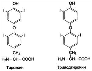 Тироксин - Бодибилдинг форум AnabolicShops
