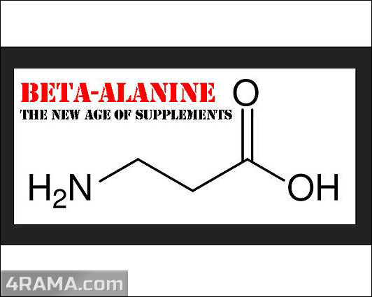 Бета-аланин - Бодибилдинг форум AnabolicShops