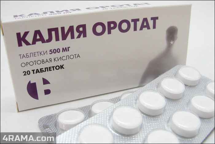 Оротат калия в бодибилдинге - Бодибилдинг форум AnabolicShops