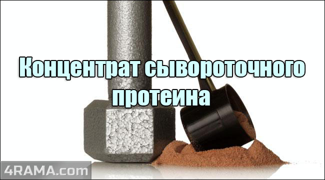Концентрат сывороточного протеина - Бодибилдинг форум AnabolicShops