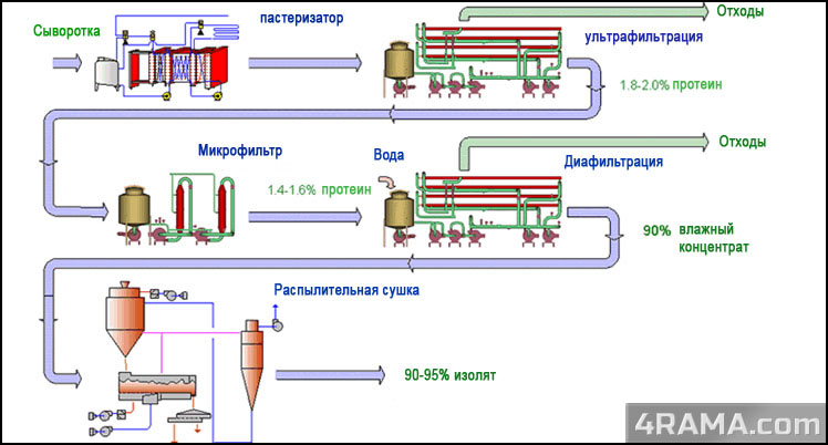 Концентрат сывороточного протеина - Бодибилдинг форум AnabolicShops