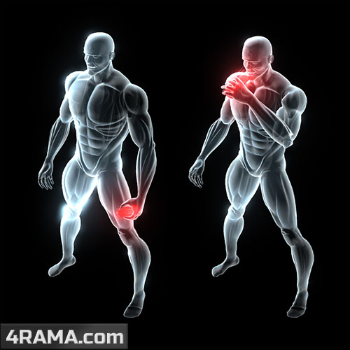 Предтренировочный комплекс BSN NO Xplode - Бодибилдинг форум AnabolicShops