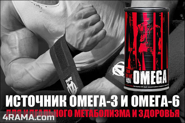 Animal Omega от Universal Nutrition - Бодибилдинг форум AnabolicShops