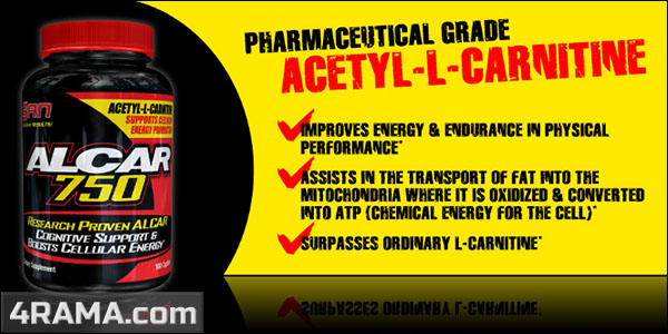 Alcar от SAN - Бодибилдинг форум AnabolicShops