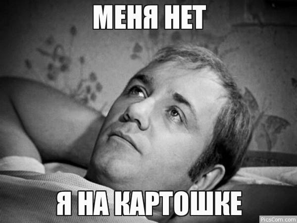 Мандариновое безумие - Бодибилдинг форум AnabolicShops