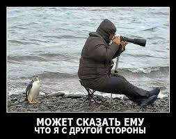 italicafarm.com - Бодибилдинг форум AnabolicShops