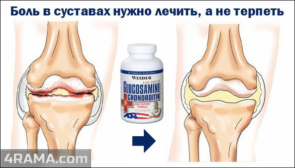 Glucosamine Chondroitin MSM от Weider - Бодибилдинг форум AnabolicShops
