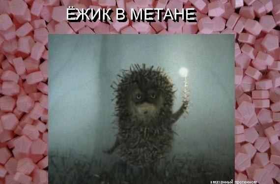 Бритиш Драгон в РФ и Украине - Бодибилдинг форум AnabolicShops