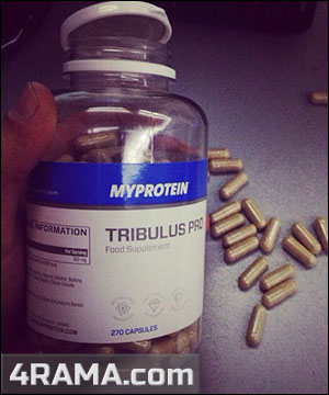 Tribulus Pro от MyProtein - Бодибилдинг форум AnabolicShops