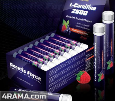 L-carnitine 2500 от Genetic Force - Бодибилдинг форум AnabolicShops