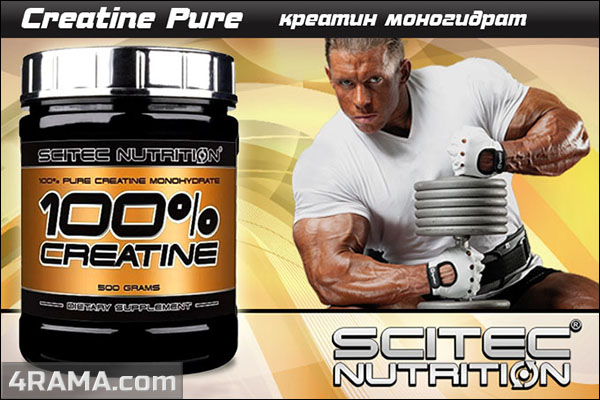 Creatine Monohydrate 100% от Scitec Nutrition - Бодибилдинг форум AnabolicShops