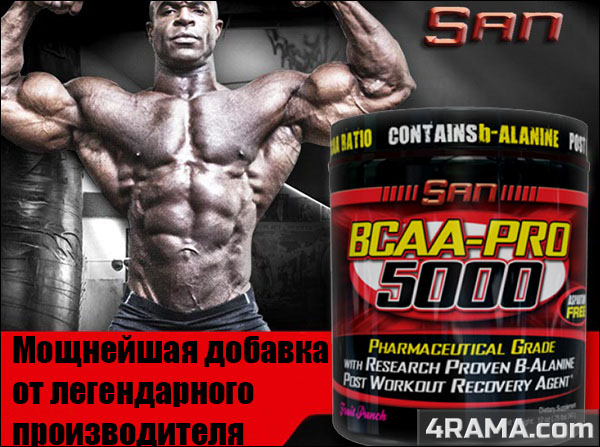 BCAA Pro 5000 от SAN - Бодибилдинг форум AnabolicShops