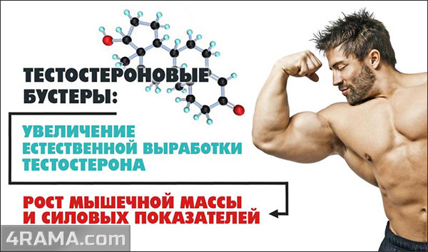 Лучшие бустеры тестостерона - Бодибилдинг форум AnabolicShops