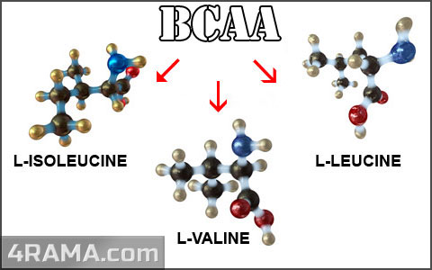 BCAA от PureProtein - Бодибилдинг форум AnabolicShops