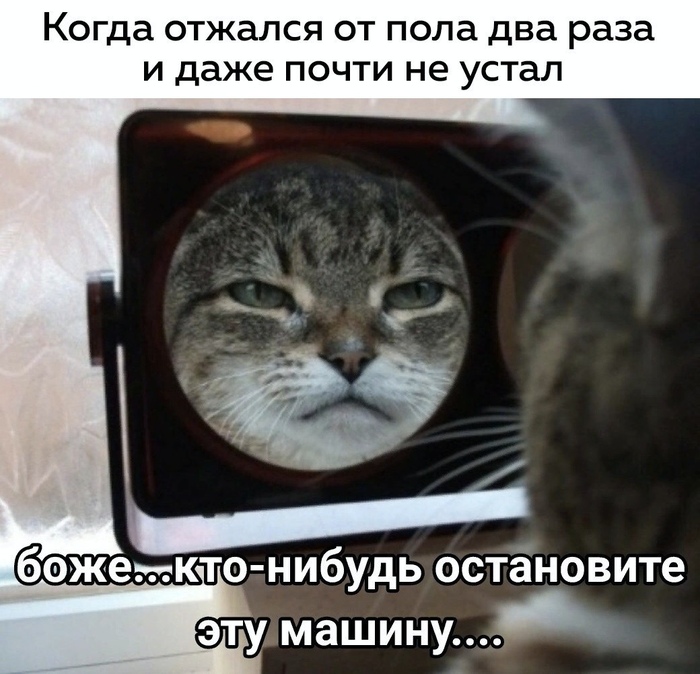 Курилка- разговоры на любые темы - Бодибилдинг форум AnabolicShops