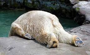 italicafarm.com - Бодибилдинг форум AnabolicShops