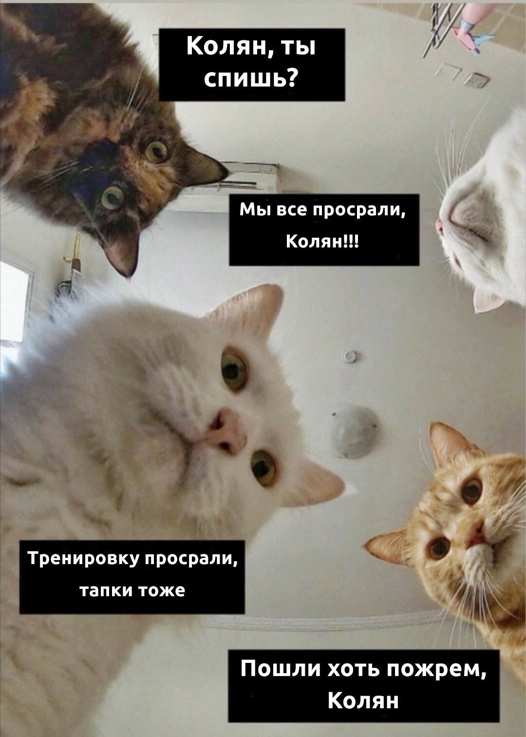 Курилка- разговоры на любые темы - Бодибилдинг форум AnabolicShops