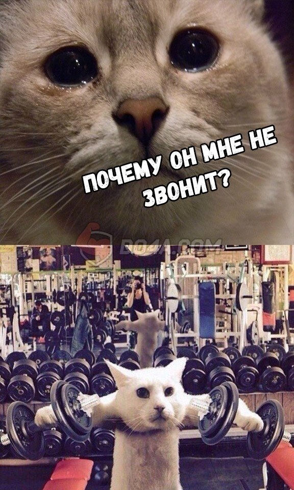 Курилка- разговоры на любые темы - Бодибилдинг форум AnabolicShops