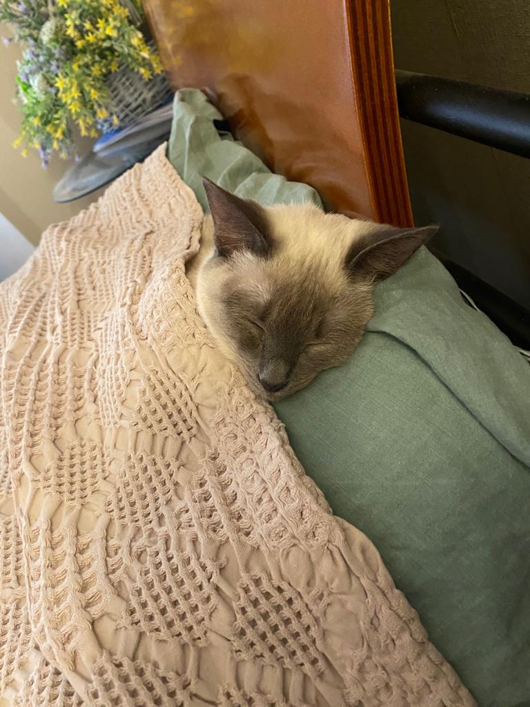 Курилка- разговоры на любые темы - Бодибилдинг форум AnabolicShops