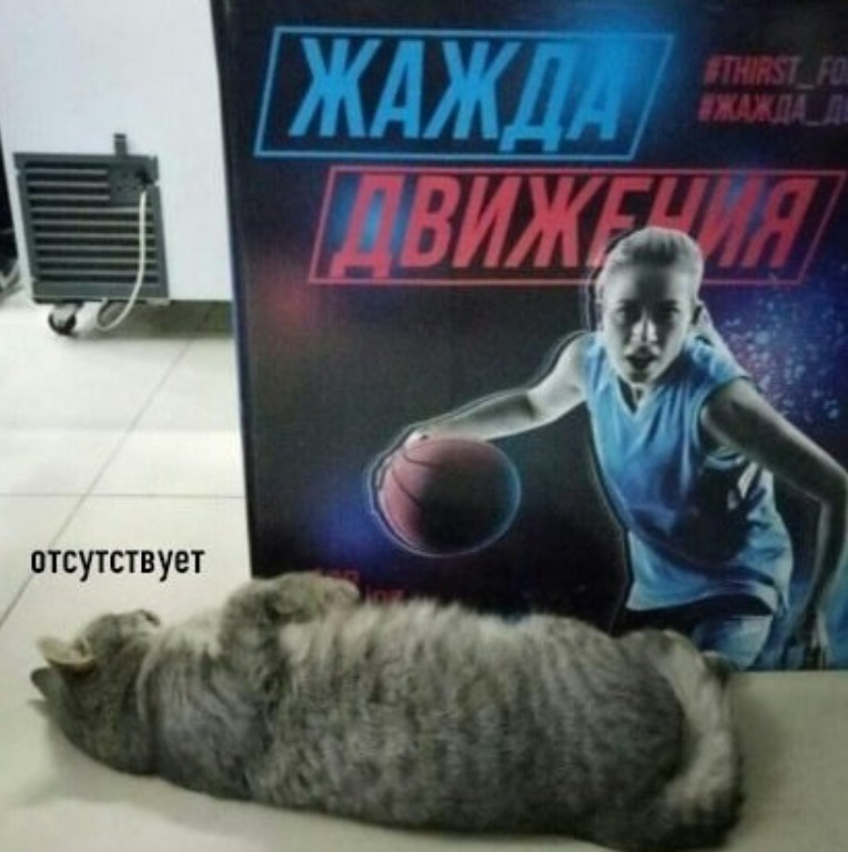 Курилка- разговоры на любые темы - Бодибилдинг форум AnabolicShops