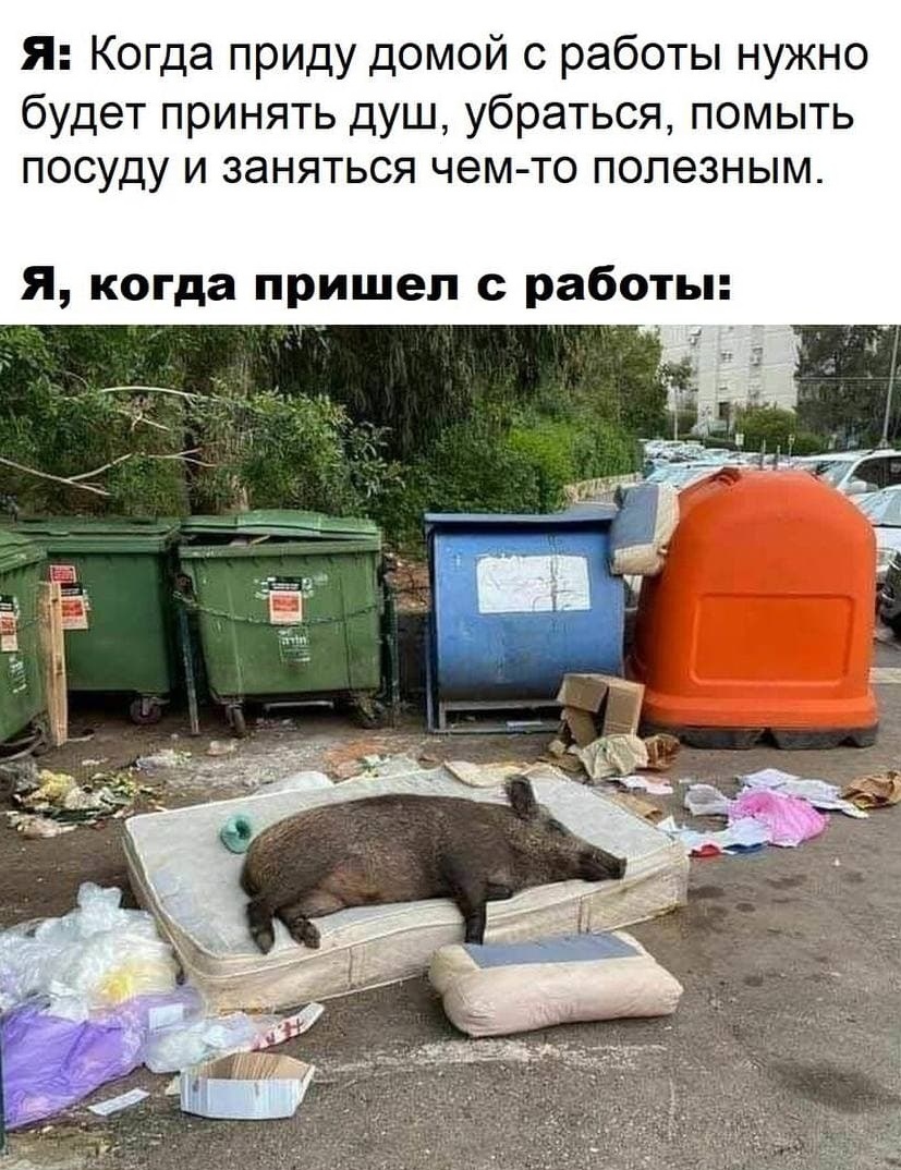 Курилка- разговоры на любые темы - Бодибилдинг форум AnabolicShops