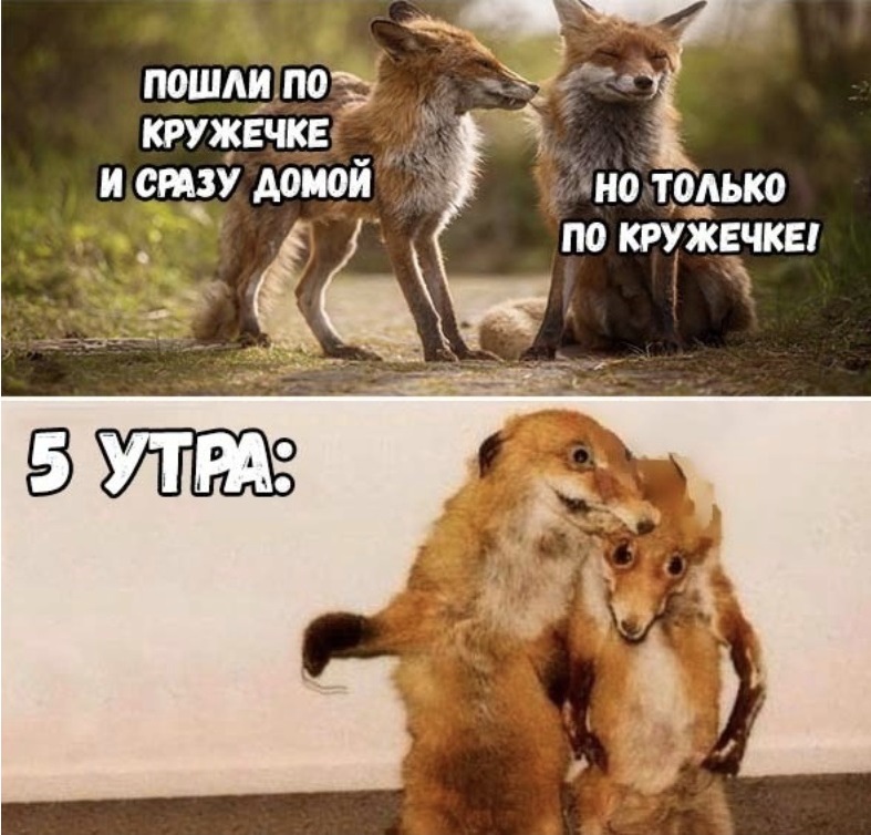 Курилка- разговоры на любые темы - Бодибилдинг форум AnabolicShops