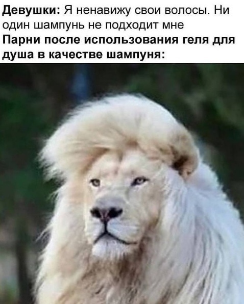 Курилка- разговоры на любые темы - Бодибилдинг форум AnabolicShops