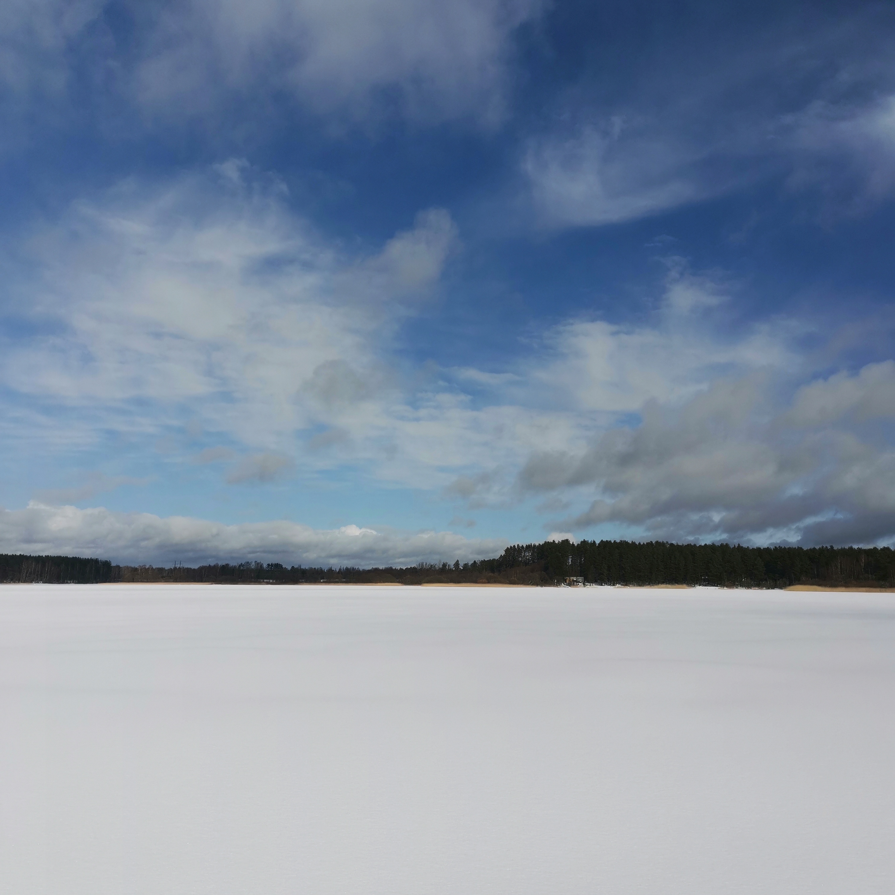 Курилка- разговоры на любые темы - Бодибилдинг форум AnabolicShops