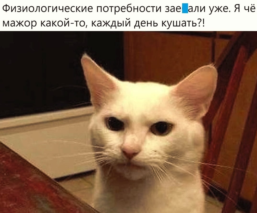 Курилка- разговоры на любые темы - Бодибилдинг форум AnabolicShops