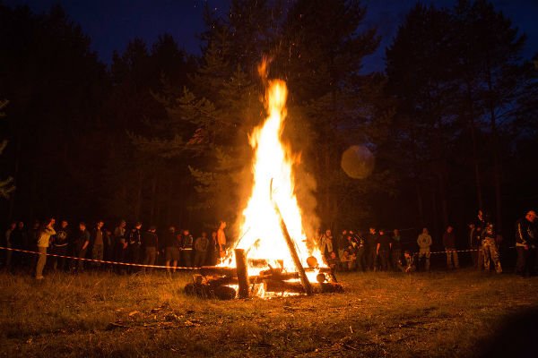Тестируем препараты. Хроматографический анализ - Бодибилдинг форум AnabolicShops