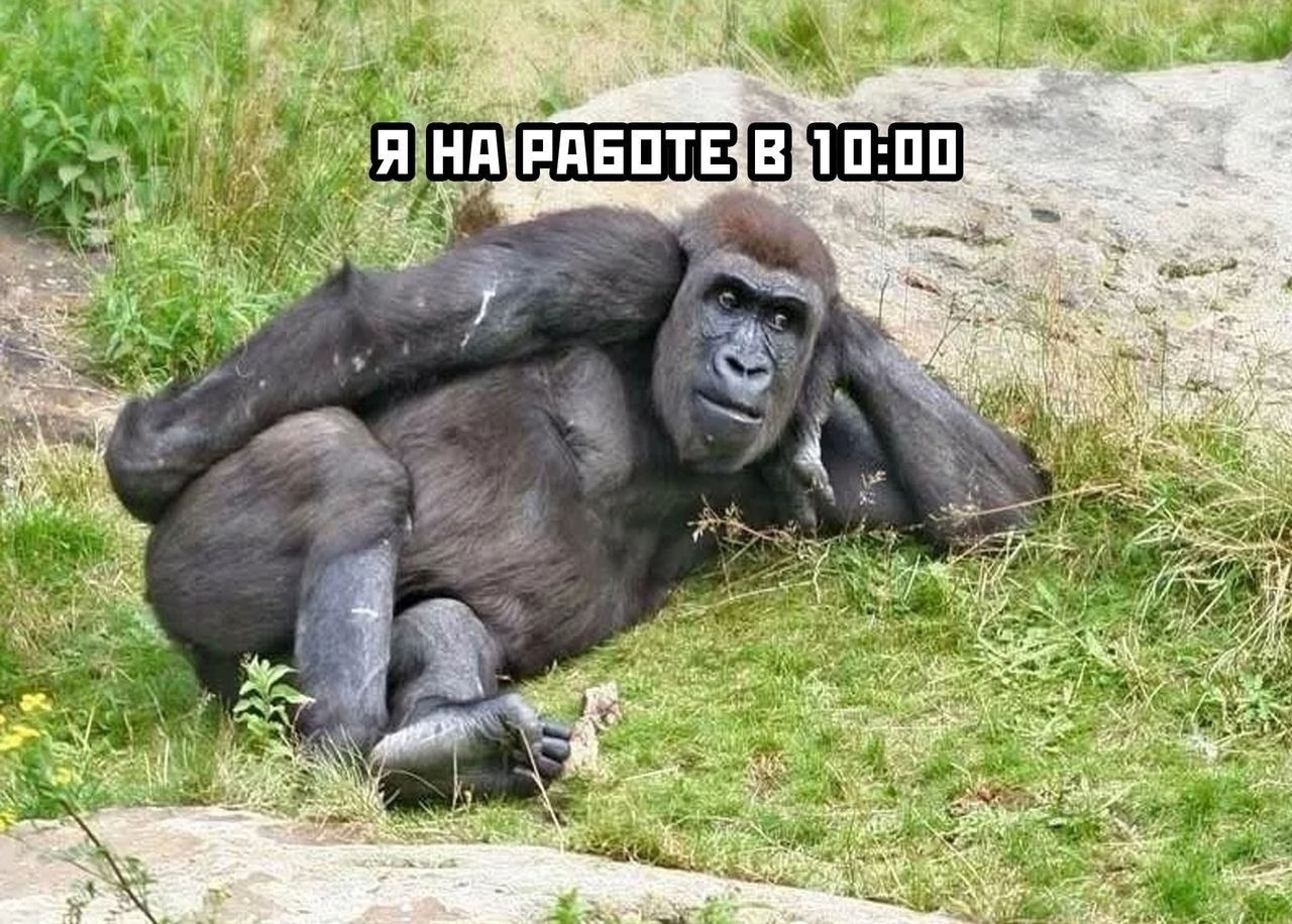 Курилка- разговоры на любые темы - Бодибилдинг форум AnabolicShops