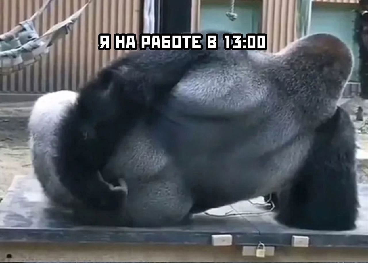 Курилка- разговоры на любые темы - Бодибилдинг форум AnabolicShops