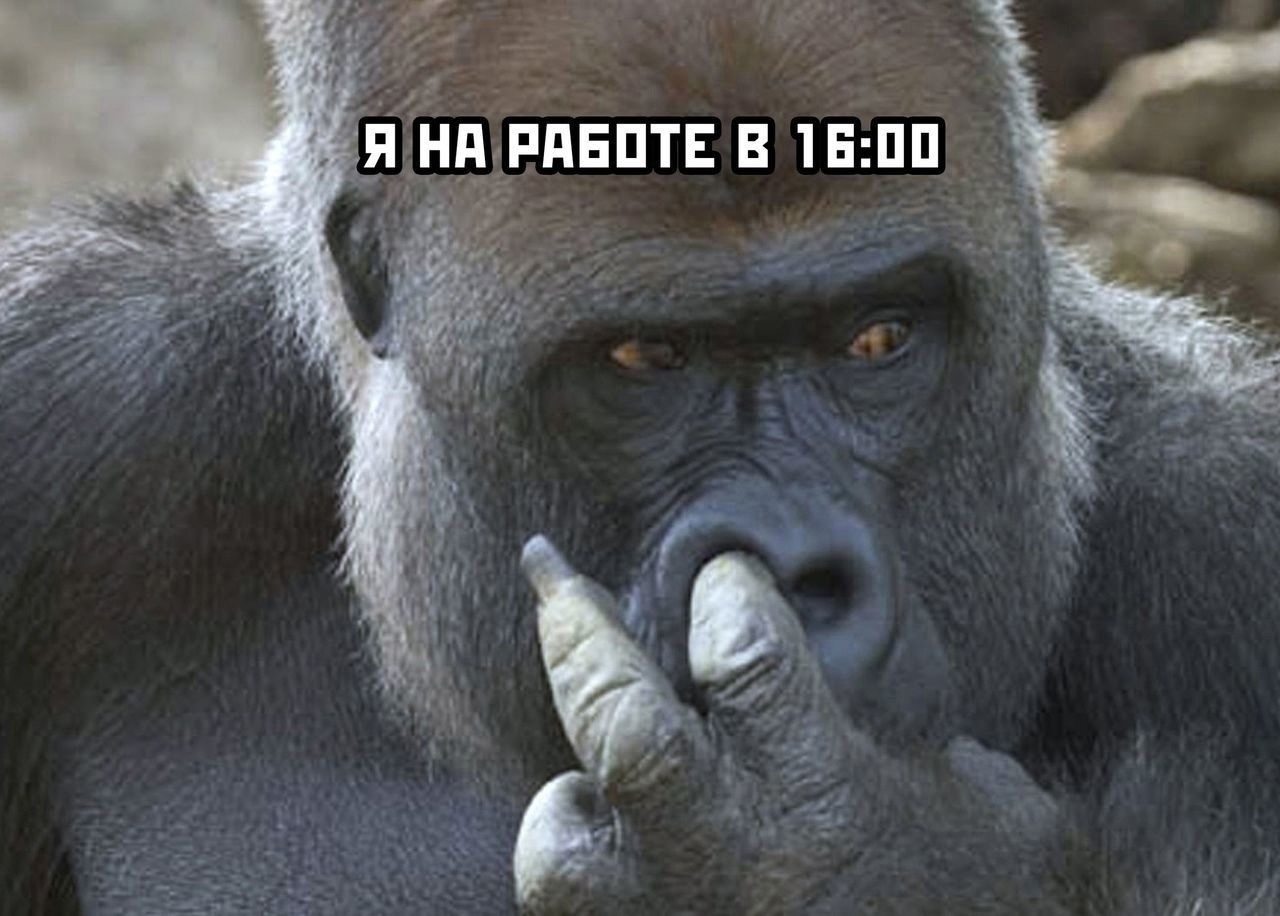 Курилка- разговоры на любые темы - Бодибилдинг форум AnabolicShops