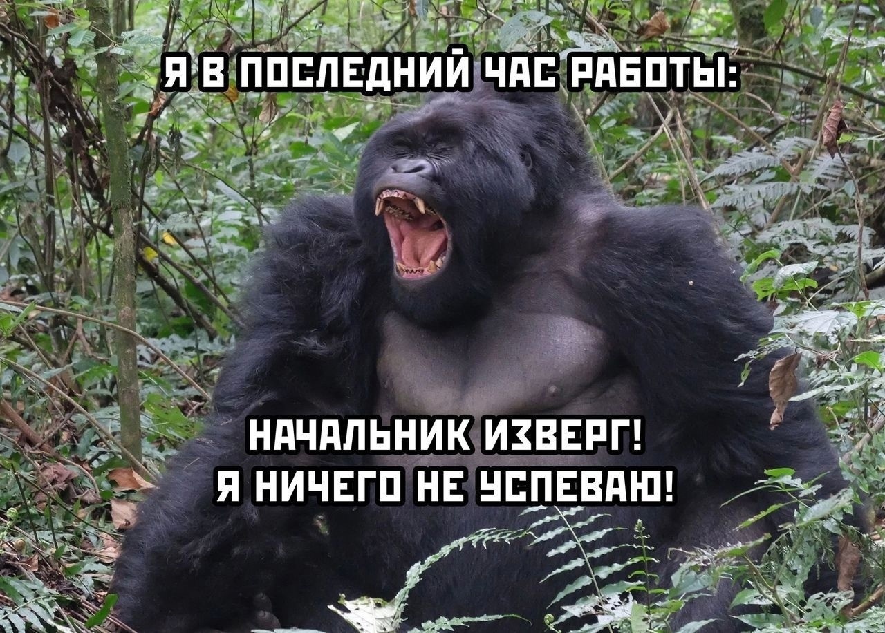 Курилка- разговоры на любые темы - Бодибилдинг форум AnabolicShops