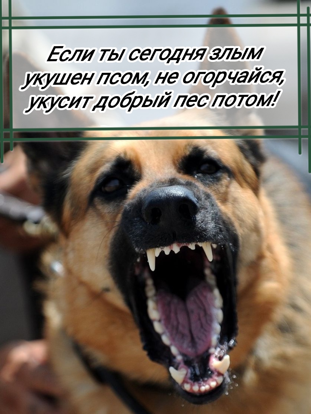 Анекдоты обо всем - Бодибилдинг форум AnabolicShops