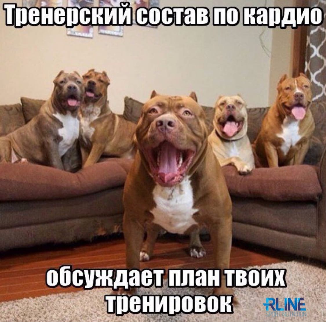 Курилка- разговоры на любые темы - Бодибилдинг форум AnabolicShops