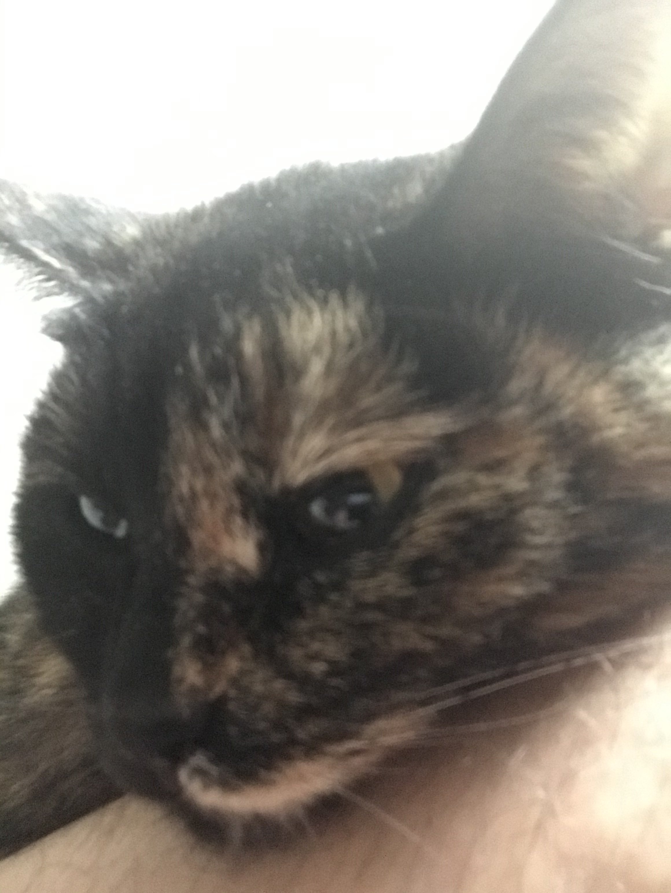 South Park Clan - Бодибилдинг форум AnabolicShops