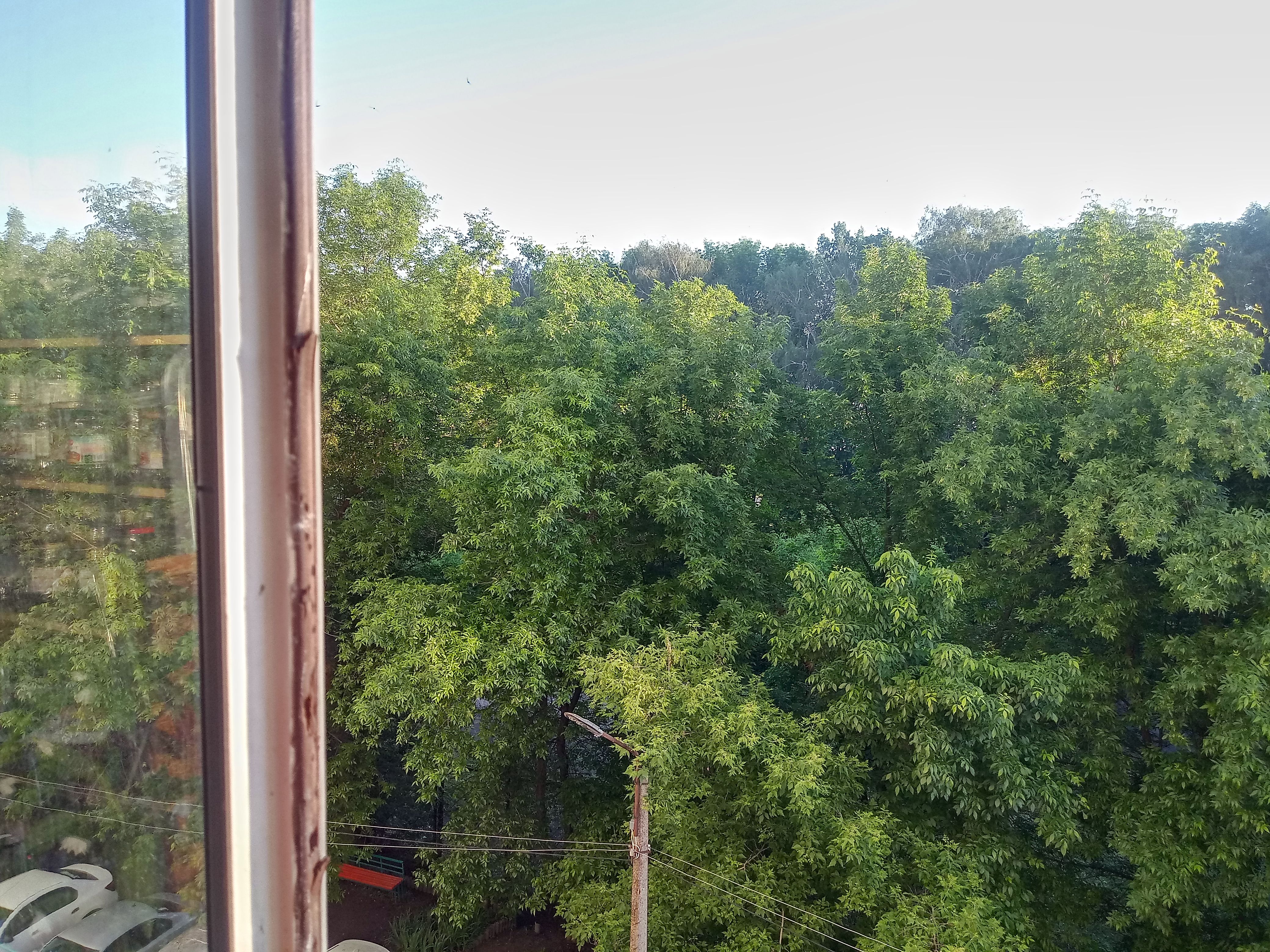 Курилка- разговоры на любые темы - Бодибилдинг форум AnabolicShops