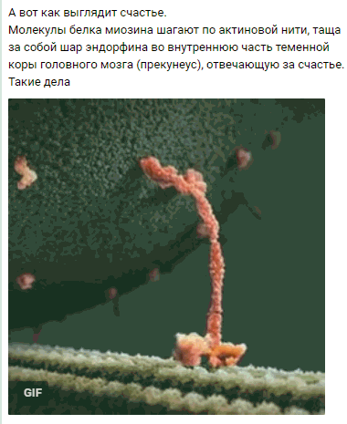 Homosteron.com оф.дилер Zphc|CanadaPeptides|Ergo Mrc - Бодибилдинг форум AnabolicShops