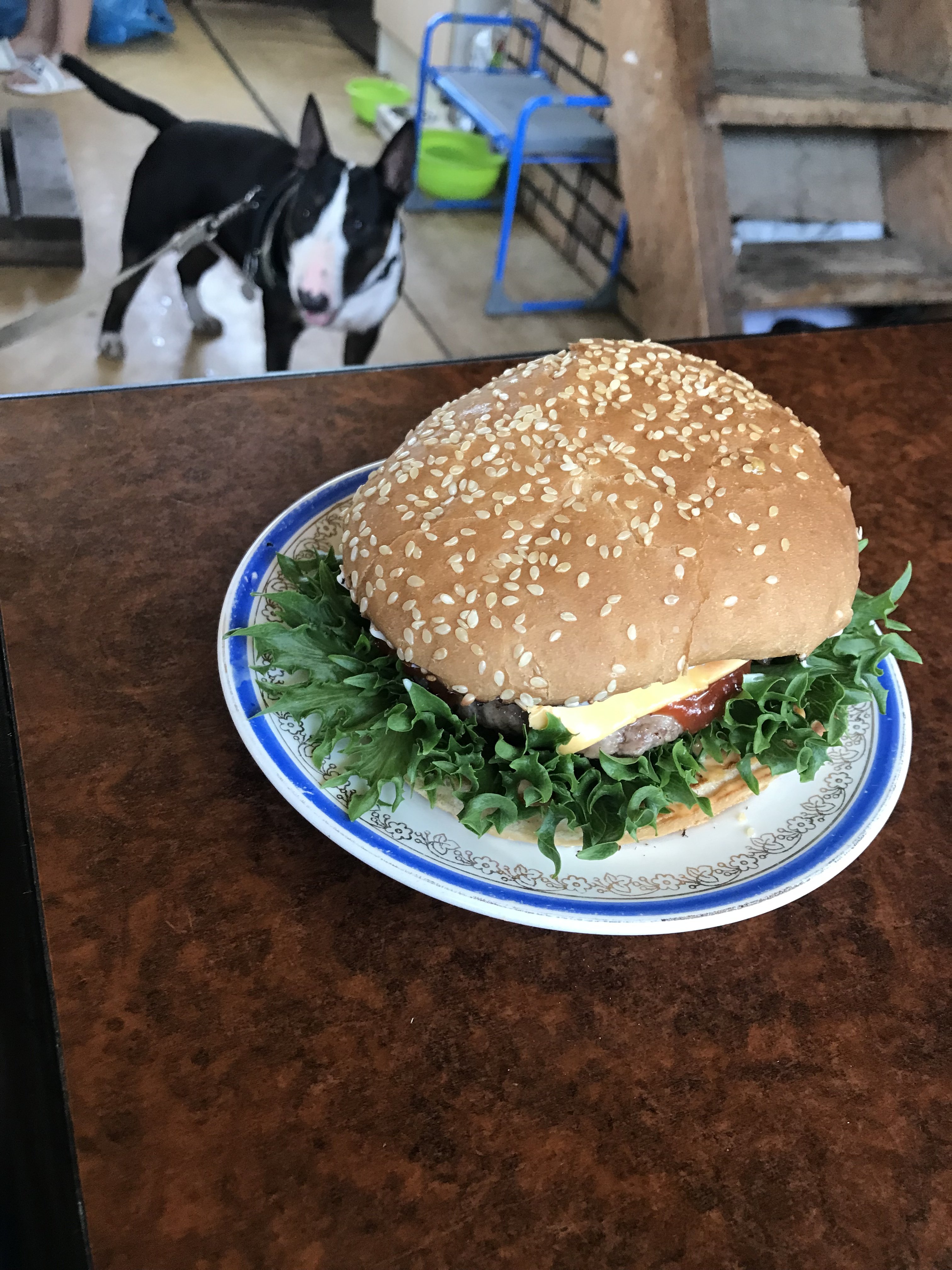 Соччный Мощщный! - Бодибилдинг форум AnabolicShops