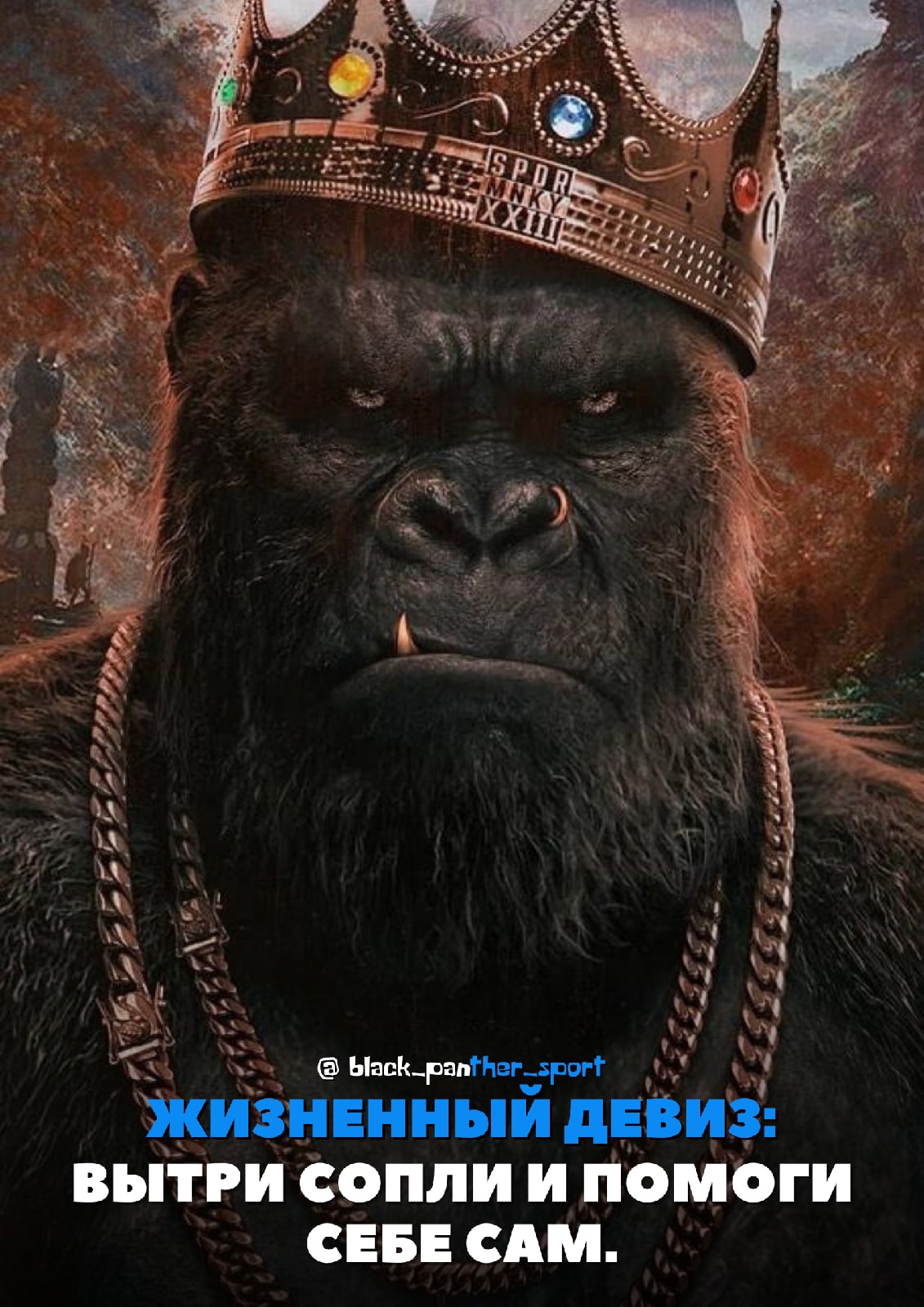 Курилка- разговоры на любые темы - Бодибилдинг форум AnabolicShops