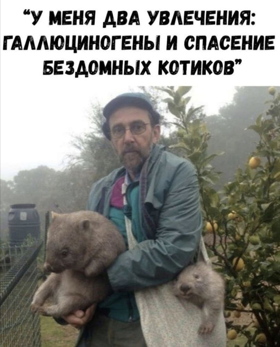 Homosteron.com оф.дилер Zphc|CanadaPeptides|Ergo Mrc - Бодибилдинг форум AnabolicShops