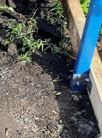 оЧумелые ручки - Бодибилдинг форум AnabolicShops