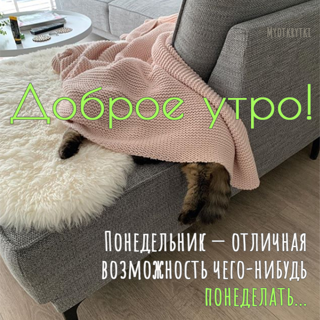 Интернет Магазин nadopinge.com - Бодибилдинг форум AnabolicShops