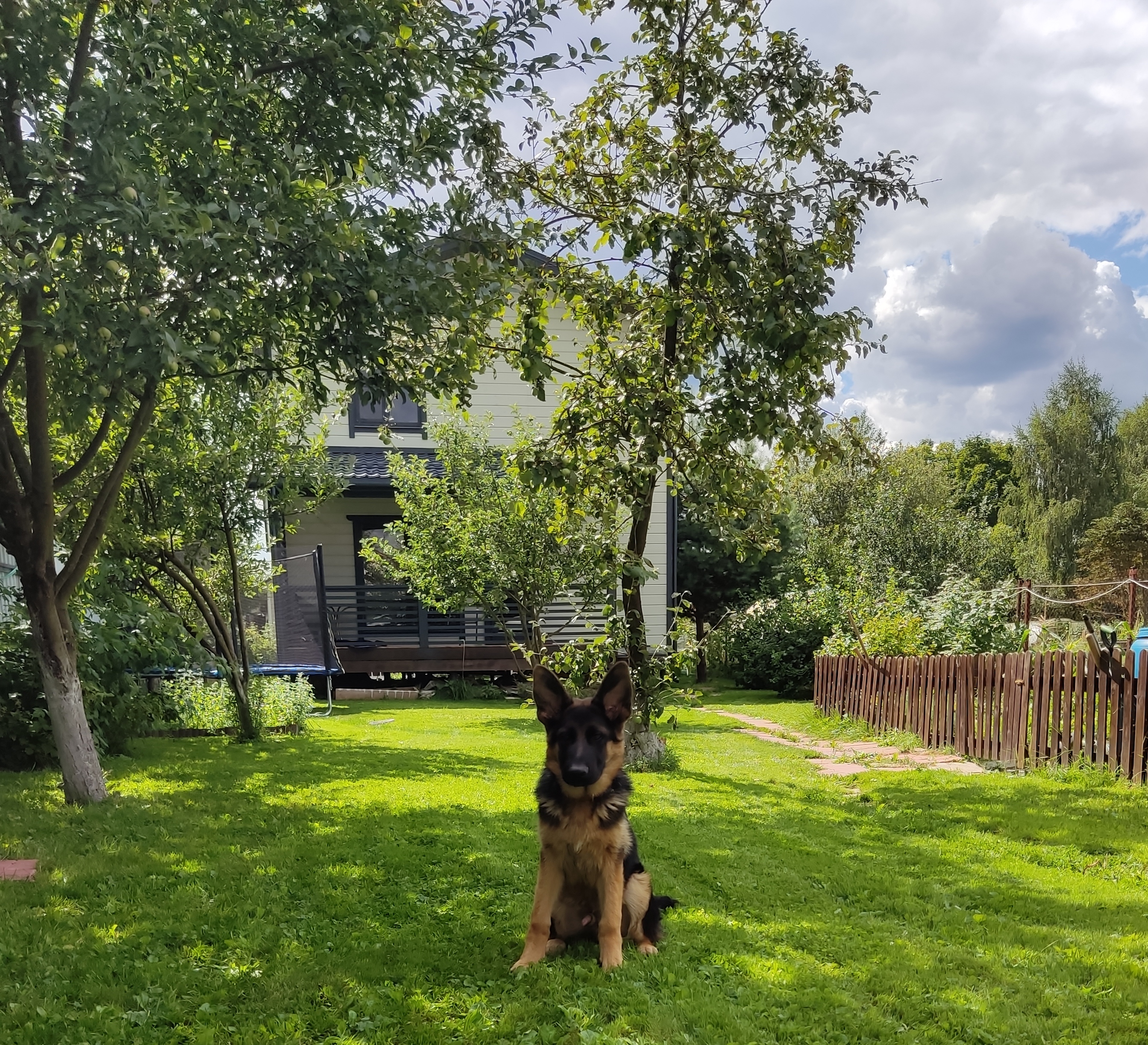 Мои домашние питомцы - Бодибилдинг форум AnabolicShops