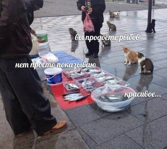 Анекдоты обо всем - Бодибилдинг форум AnabolicShops