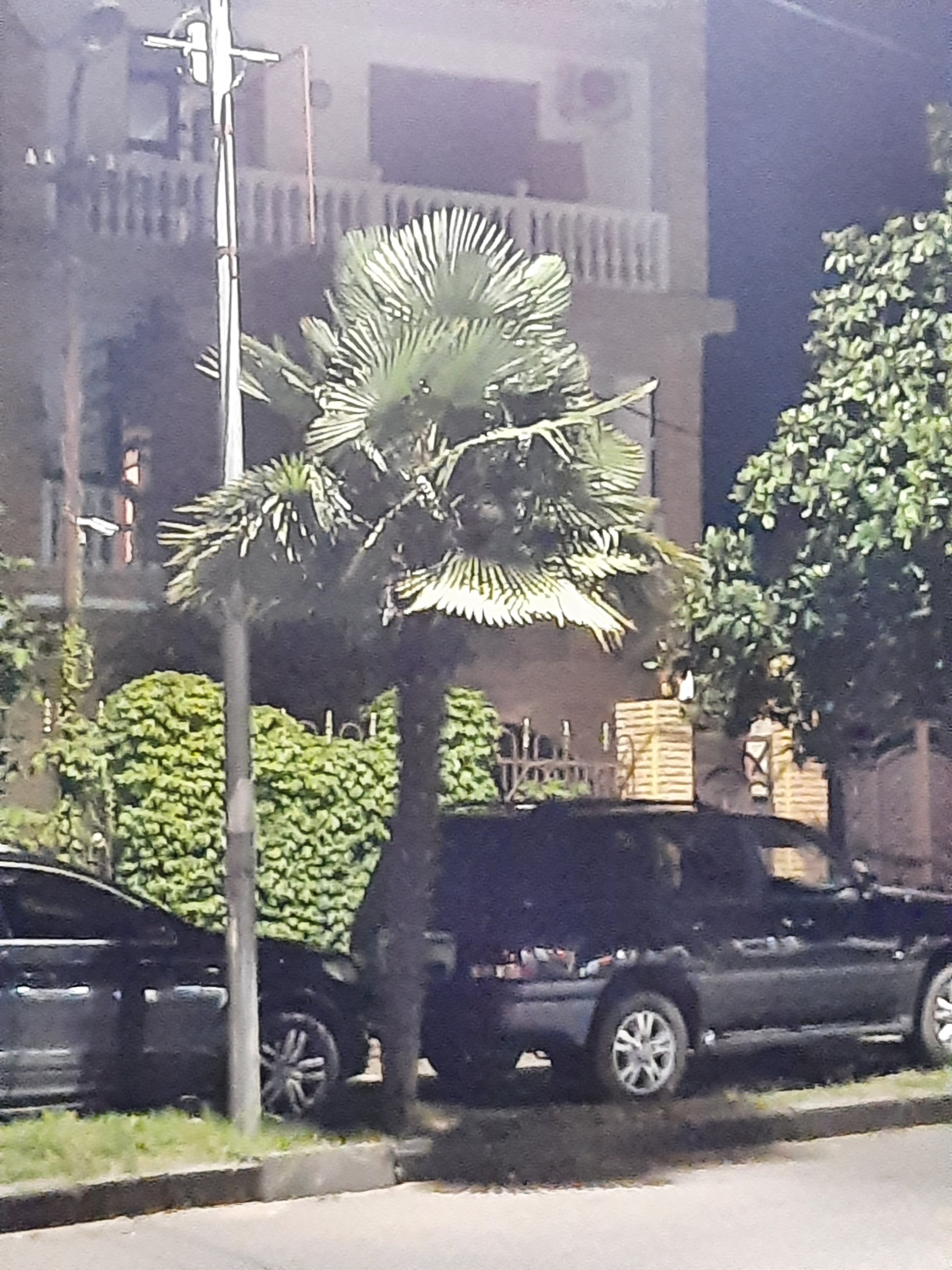 Homosteron.com оф.дилер Zphc|CanadaPeptides|Ergo Mrc - Бодибилдинг форум AnabolicShops