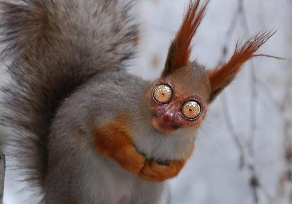 Курилка- разговоры на любые темы - Бодибилдинг форум AnabolicShops